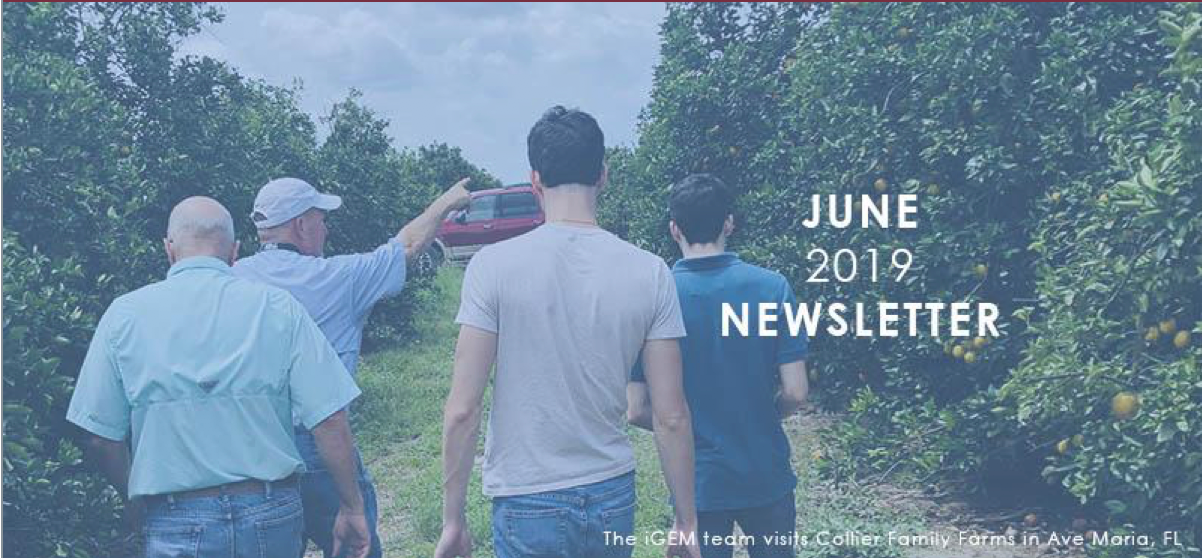 Screen Shot 2019-06-04 at 1.54.38 PM.png