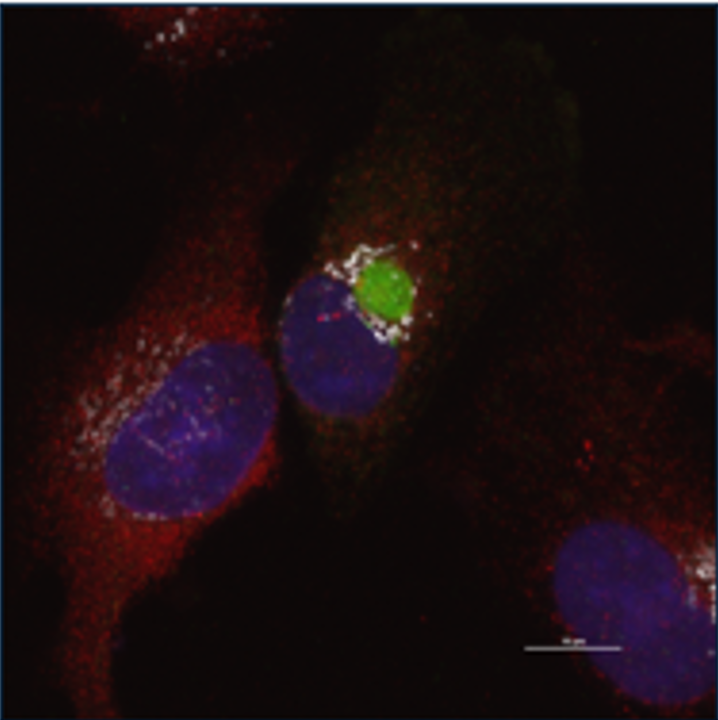 Screenshot 2025-03-23 193122.png