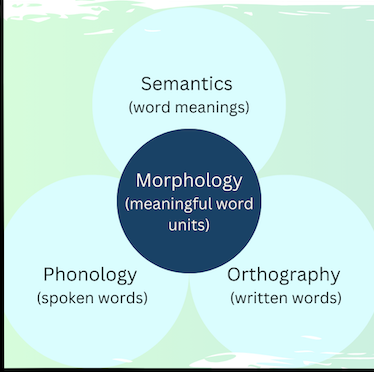 Screenshot 2025-03-23 at 10.48.08 PM.png