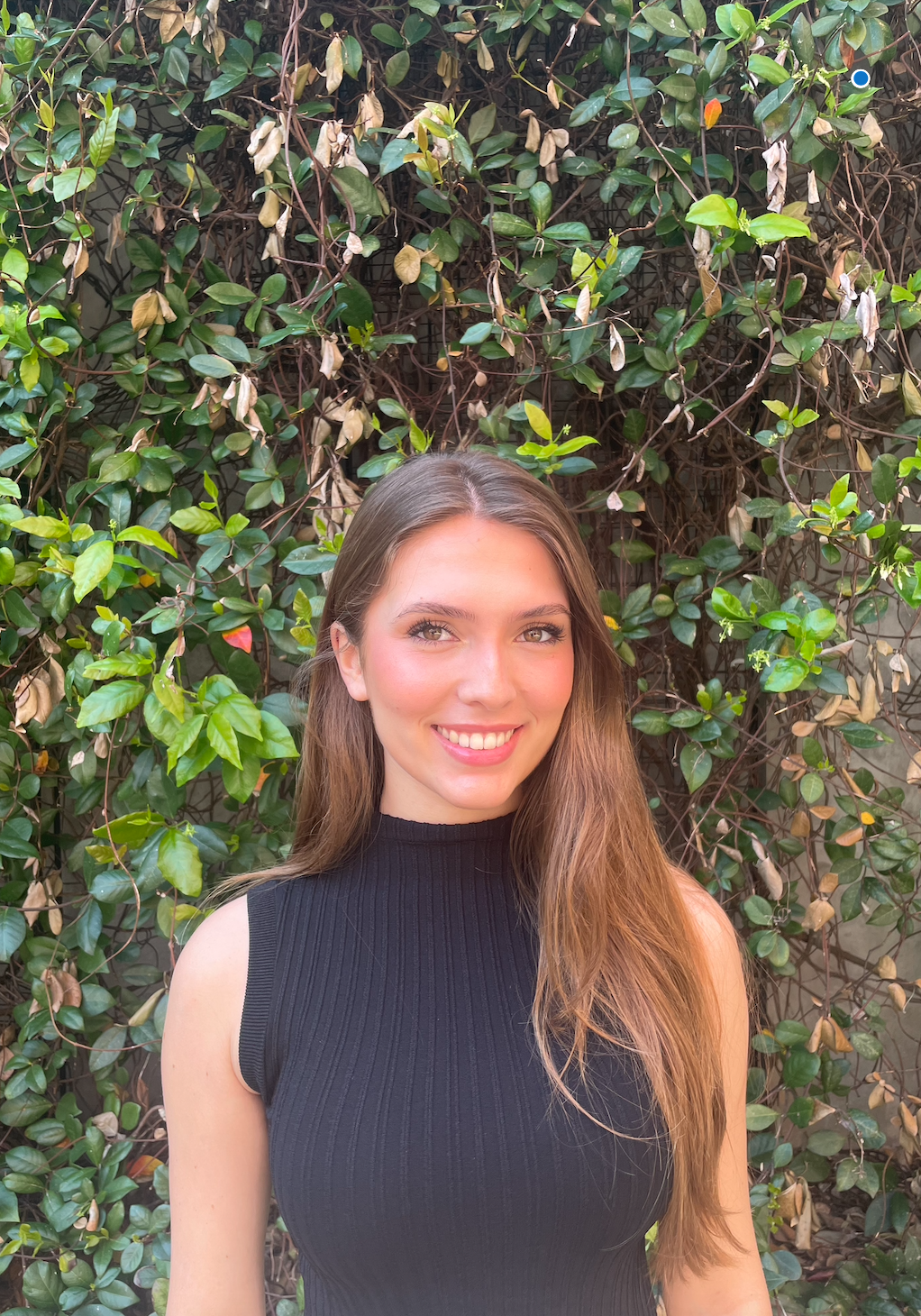 Screen Shot 2023-05-03 at 3.07.13 PM.png